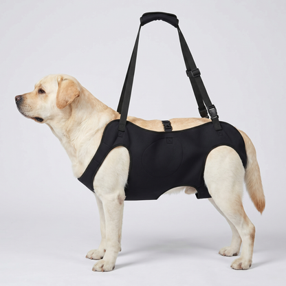PupViva LiftAssist Sling